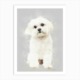 Maltese Dog Art Print