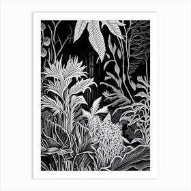 Botanischer Garten München Nymphenburg, 1,  Germany Linocut Black And White Vintage Art Print