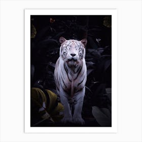 White Tiger With Bright Eyes Art Print