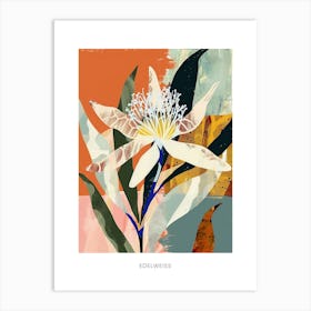 Colourful Flower Illustration Poster Edelweiss 2 Art Print
