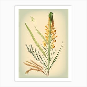 Horsetail Spices And Herbs Retro Drawing 2 Art Print