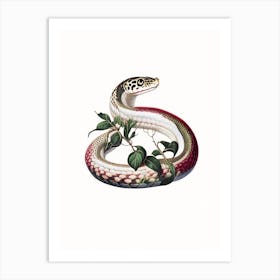 Queen Snake 1 Vintage Art Print