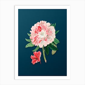 Vintage Rhododendron Flower Botanical Art on Teal Blue n.0441 Art Print