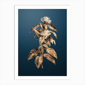 Gold Botanical Laurustinus on Dusk Blue n.1585 Art Print