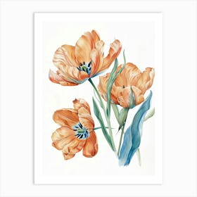 Orange Tulips 3 Art Print