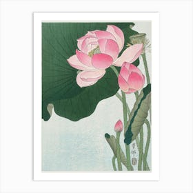 Blooming Lotus Flowers, Ohara Koson Art Print