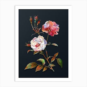 Vintage Ever Blowing Rose Botanical Watercolor Illustration on Dark Teal Blue n.0549 Art Print