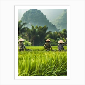 Rice Field In Vietnam Art Print