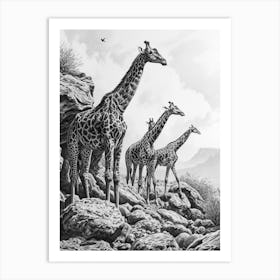 Herd Of Giraffe Pencil Portrait 4 Art Print