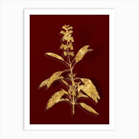 Vintage Sage Plant Botanical in Gold on Red n.0575 Art Print
