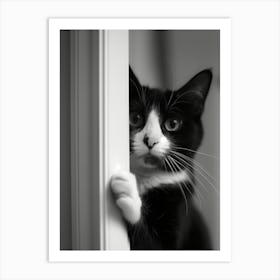 Black And White Cat 1 Art Print