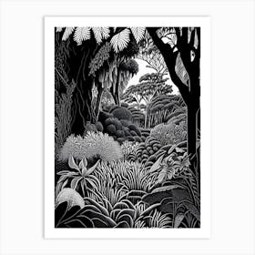 Geelong Botanic Gardens, Australia Linocut Black And White Vintage Art Print