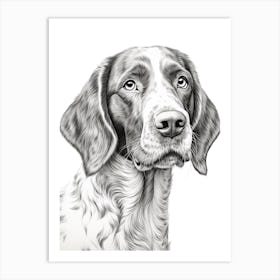 Pointer Dog, Line Drawing 1 Art Print