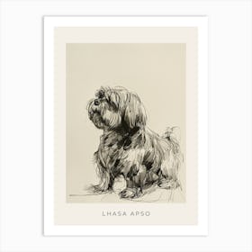 Lhasa Apso Dog Line Sketch 1 Poster Art Print