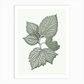 Raspberry Leaf Herb William Morris Inspired Line Drawing 2 Art Print