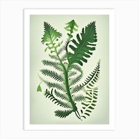 Maidenhair Spleenwort Vintage Botanical Poster Art Print