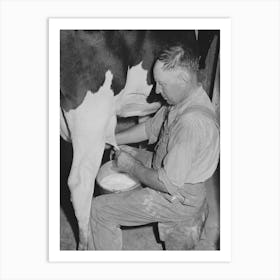 Member Of The Dairymen S Cooperative Creamery Milking, Caldwell, Canyon County, Idaho, Two Million Dollars Has Art Print