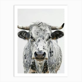 Cow With Horns Art Print