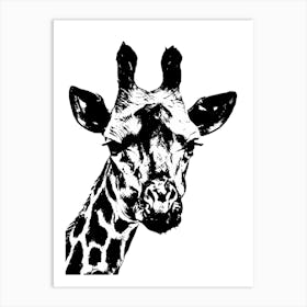 Giraffe in Black and White Art Print