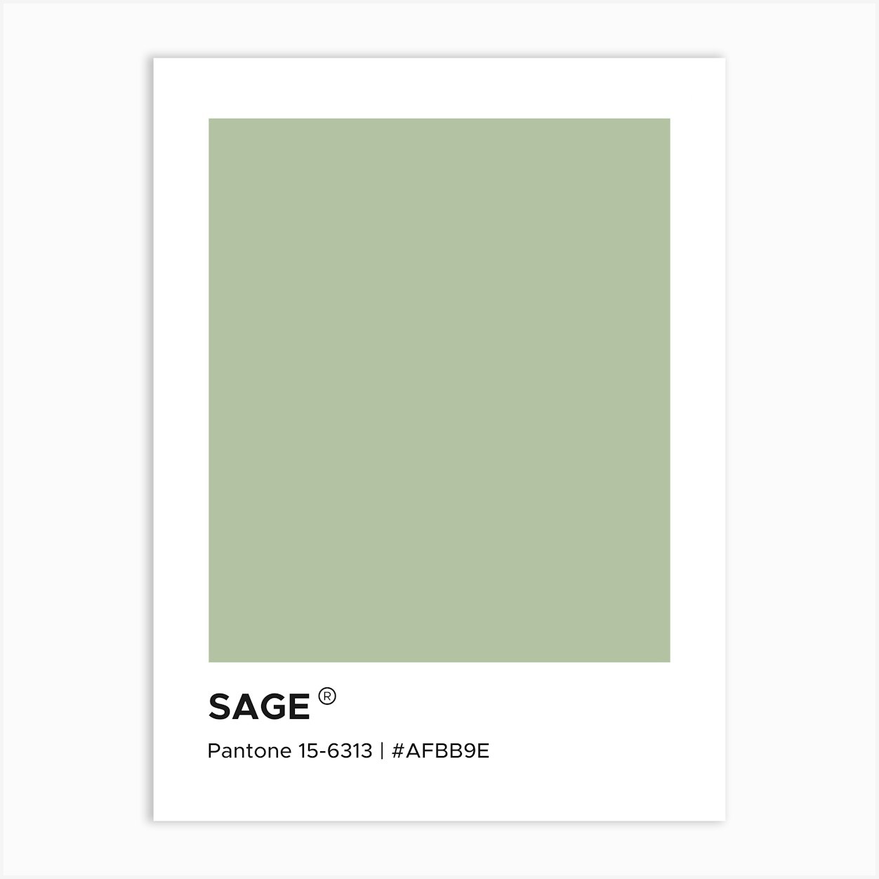 Sage Pantone, calm, green, cool, cute, swatches, luxury, aesthetic, pantone, colorful, pastel, home, decor, minimal, modern, summers, vibes, mood Art