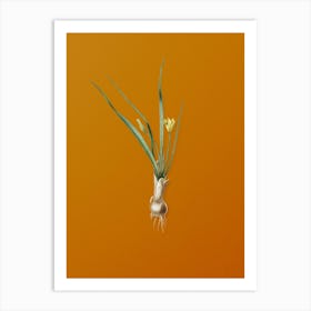 Vintage Weevil-wort Botanical on Sunset Orange n.0217 Art Print