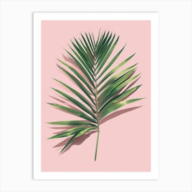 Palm Leaf On Pink Background 2 Art Print