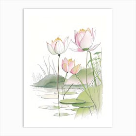 Lotus Flowers In Park Pencil Illustration 4 Art Print