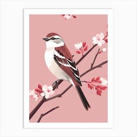 Minimalist House Sparrow 1 Illustration Art Print