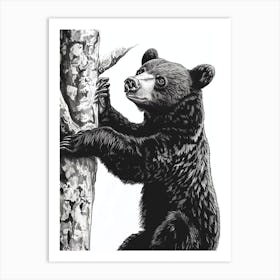 Malayan Sun Bear Cub Climbing A Tree Ink Illustration 2 Art Print
