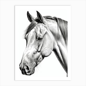 Highly Detailed Pencil Sketch Portrait of Horse with Soulful Eyes 11 Art Print
