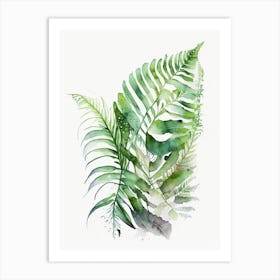 Fragrant Fern Watercolour Art Print