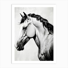 Black And White Horse Portrait Art Print