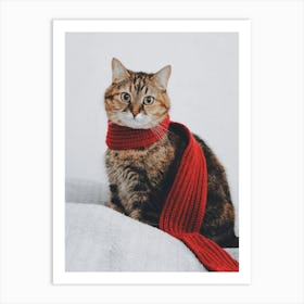 Cat Wearing A Scarf Art Print