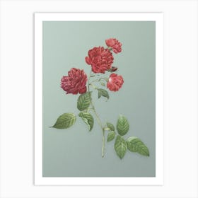 Vintage Red Cabbage Rose in Bloom Botanical Art on Mint Green n.0062 Art Print