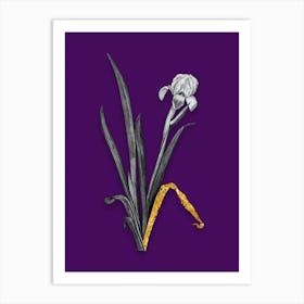 Vintage Crimean Iris Black and White Gold Leaf Floral Art on Deep Violet n.1215 Art Print