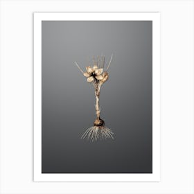 Gold Botanical Crocus Sativus on Soft Gray Art Print