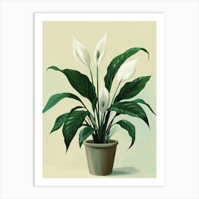 Peace Lily Plant Minimalist Illustration 5 Art Print