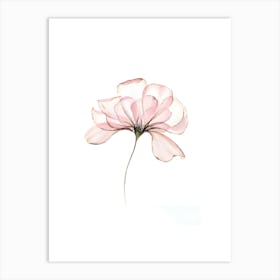 Pink Flower 2 Art Print