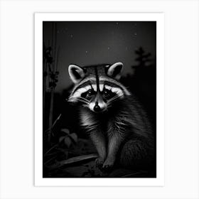 Raccoon At Night Art Print