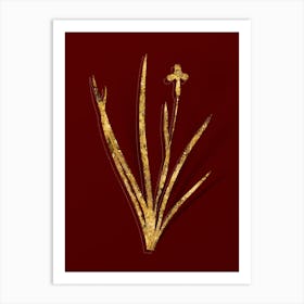 Vintage Iris Martinicensis Botanical in Gold on Red n.0439 Art Print