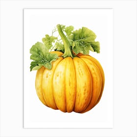 Acorn Squash Pumpkin Watercolour Illustration 3 Art Print