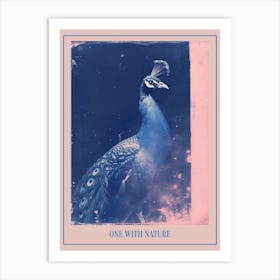 Peacock Pink & Blue Cyanotype Inspired 2 Poster Art Print