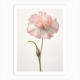 Pressed Flower Botanical Art Carnation Dianthus Art Print