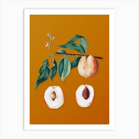Vintage Peach Botanical on Sunset Orange n.0566 Art Print