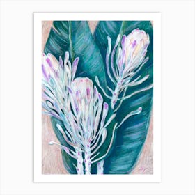 Protea Art Print