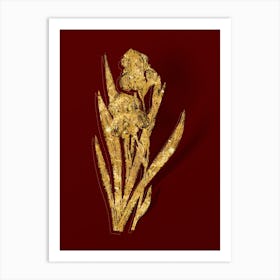 Vintage German Iris Botanical in Gold on Red n.0416 Art Print