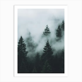 Foggy Forest 1 Art Print