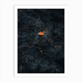 Rose In The Desert Art Print