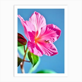 Hibiscus Flower 1 Art Print