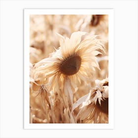 Boho Dried Flowers Sunflower 2 Art Print